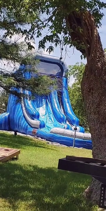 Labrador Loves Giant Waterslide