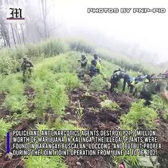 WATCH: Destroyed drugs