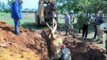 SARIYER'DE KAYBOLAN İNEĞİNİ YAĞMURDAN KAÇARKEN KUYUDA BULDU