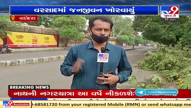 Several trees uprooted due to heavy rain showers in Vadodara _ TV9News