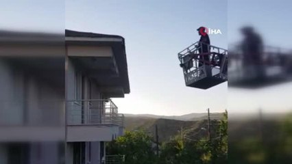 Bingöl'de çatıda ipe dolanan Kırlangıç'ı itfaiye ekipleri kurtardı