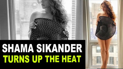 Shama Sikander breaks the internet with her bold photoshoot