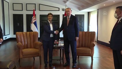 ANTALYA - Cumhurbaşkanı Erdoğan, Sırbistan Başbakanı Brnabic'i kabul etti
