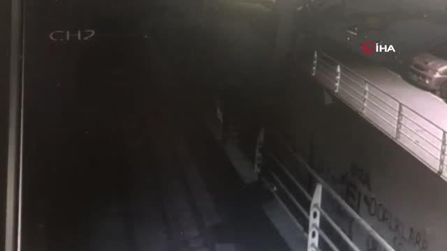 Esenyurt'ta köpeğe pompalı tüfekli saldırı anı kamerada