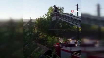 Bingöl’de çatıda ipe dolanan Kırlangıç’ı itfaiye ekipleri kurtardı