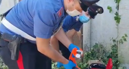 Roma - Spari contro auto per un debito di droga: 5 arresti (17.06.21)