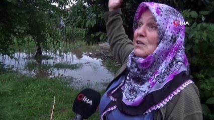 Yoğun yağmurda dereler taşında tarım arazilerini su altında kaldı