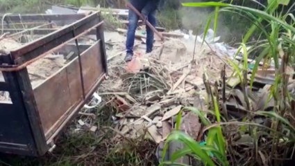 "Vai ter que catar": Patrulha Ambiental identifica empresa que realizou descarte irregular e obriga remoção de dejetos