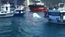 Yavuz Sultan Selim Köprüsü altında bulunan balıkçı teknesine gemi çarptı: 1 yaralı