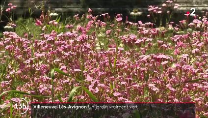 Villeneuve-lès-Avignon : un jardin remarquable et respectueux de l'environnement