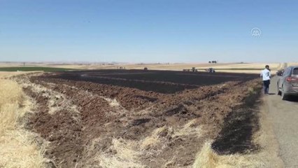 DİYARBAKIR - Tarlada çıkan yangın söndürüldü