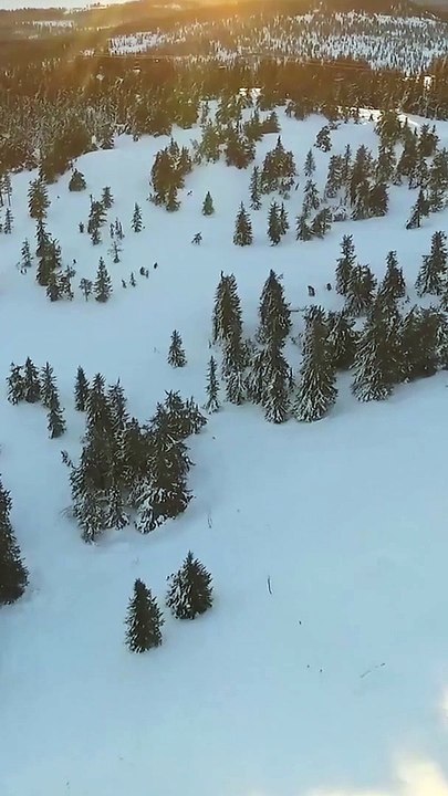 Relationship Fact 04