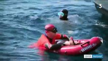 Cannes : des formations aux premiers secours en mer pour les amateurs d'apnée