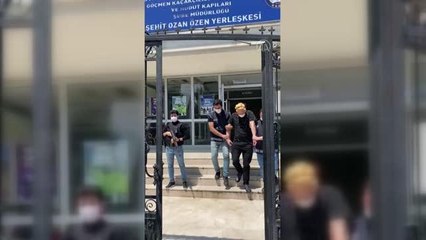 Küçükçekmece'de yavru kedileri yiyen şüpheli sınır dışı edilecek