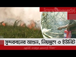 এখনও জ্বলছে সুন্দরবনের আগুন, নিয়ন্ত্রণে ৩ ইউনিট | Jagonews24.com