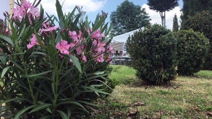 MARIAGES : Un nouveau souffle pour les lieux de réception