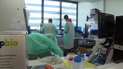 Vrai ou fake : que contiennent vraiment les "Fauci Leaks" ?