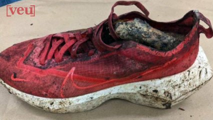 FBI Seeking To Identify a Dismembered Body Found by Hikers