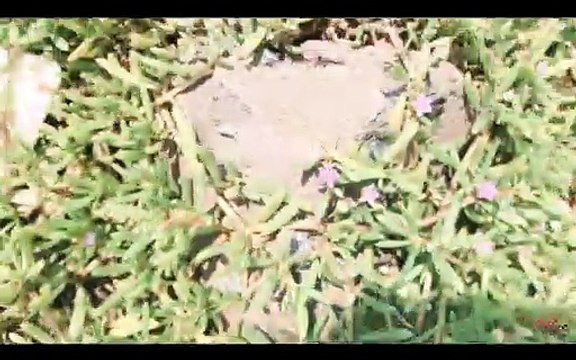 Chụp AB Cưới Biển Tân Thành