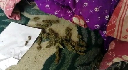 Son dakika haber: Osmaniye'de uyuşturucu operasyonuna 1 tutuklama