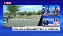 Charlotte d'Ornellas : «Aujourd'hui tout le débat qui concerne la fracturation de la France se pose sur la troisième génération d'une immigration la plupart du temps légale»