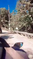 RIDES