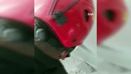 Duvardaki yılan böyle yakalandı