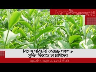 বিশেষ পরিচিতি পেয়েছে পঞ্চগড়, সুদিন ফিরেছে চা চাষিদের | Jagonews24.com