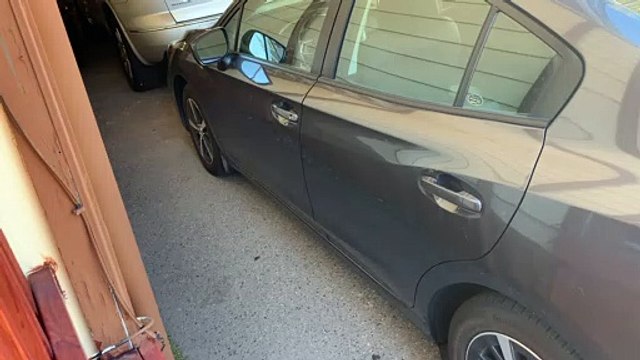 Black Bear Casually Takes Food From Garage