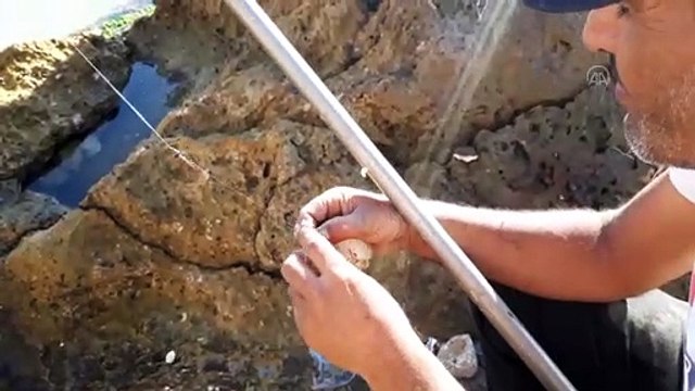 BEYRUT - Ekonomik krizin derinleştiği Lübnan'da, olta balıkçılığı pek çok kişinin ekmek kapısı oldu