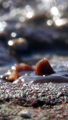 Las maravillosas lentes macro de Aron Sanchez-Baranda