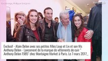 Alain Delon éloigné de ses enfants : 