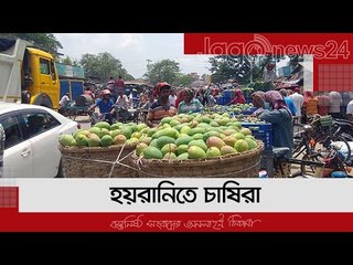 বানেশ্বর আমের হাটে অব্যবস্থাপনা দেখার কেউ নেই, হয়রানিতে চাষিরা | Jagonews24.com