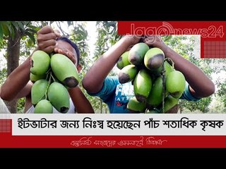 ইটভাটার জন্য নিঃস্ব হয়েছেন পাঁচ শতাধিক কৃষক | Jagonews24.com