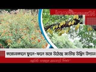 করোনাকালে ফুলে-ফলে ভরে উঠেছে জাতীয় উদ্ভিদ উদ্যান | Jagonews24.com