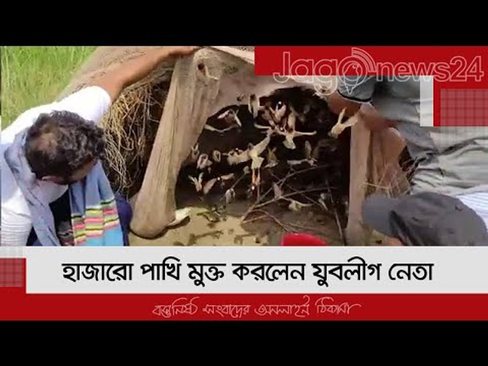 শিকারির আটকানো হাজারো পাখি মুক্ত করলেন যুবলীগ নেতা | Jagonews24.com