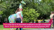 Giraffes about Town - Have you spotted them around Edinburgh yet?