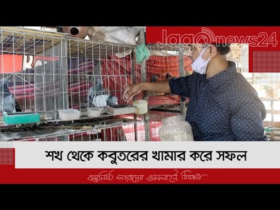 শখ থেকে কবুতরের খামার করে সফল পিরোজপুরের রাশেদ | Jagonews24.com