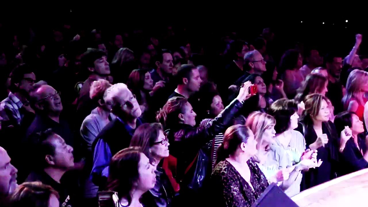 World Wrestling Cats 2020 - The Ultimate Kitten Fighting Competition