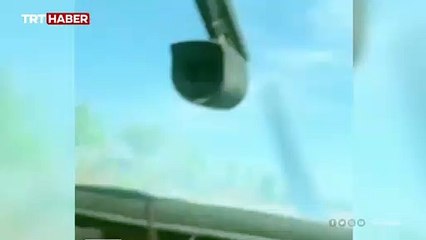 Avustralya'da uçakta "örümcek" paniği