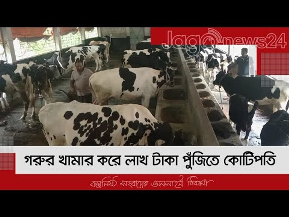 গরুর খামার করে লাখ টাকা পুঁজিতে কোটিপতি দিনাজপুরের শাহ নেওয়াজ | Jagonews24.com