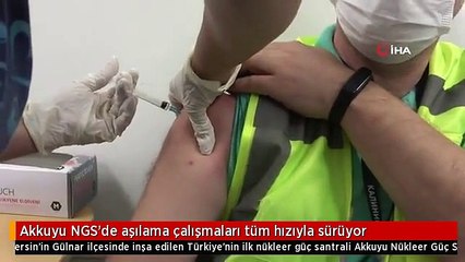 Akkuyu NGS'de aşılama çalışmaları tüm hızıyla sürüyor