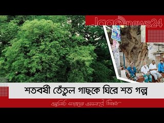 শতবর্ষী তেঁতুল গাছকে ঘিরে শত গল্প | Jagonews24.com