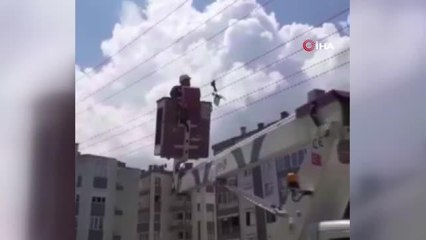 Son dakika haber! Yalova'da karga kurtarma operasyonu