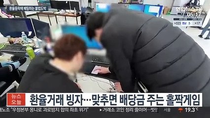 환율 등락에 베팅…불법 도박사이트 운영자 2명 구속