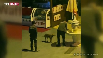 Bekçi eliyle köpeğe su içirdi