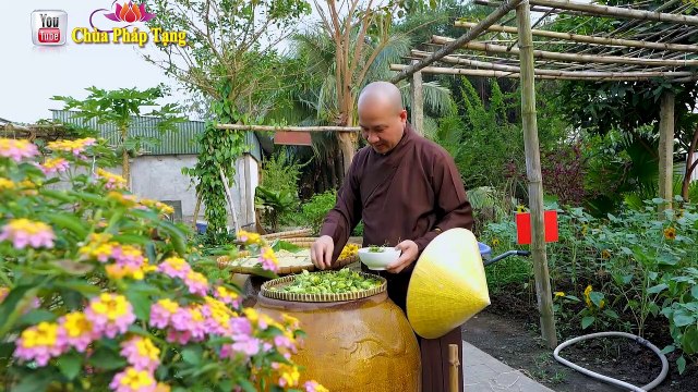 Trị Tiểu Đường Hiệu Quả Với Bài Thuốc Dễ Làm - Món Ăn Thuốc Giúp Hạ Men Gan, Lọc Máu/ Chùa Pháp Tạng