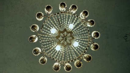 Destello bravío: tráiler