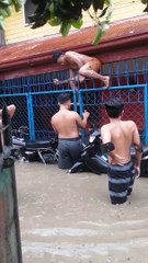 Pup Saved From Flooding