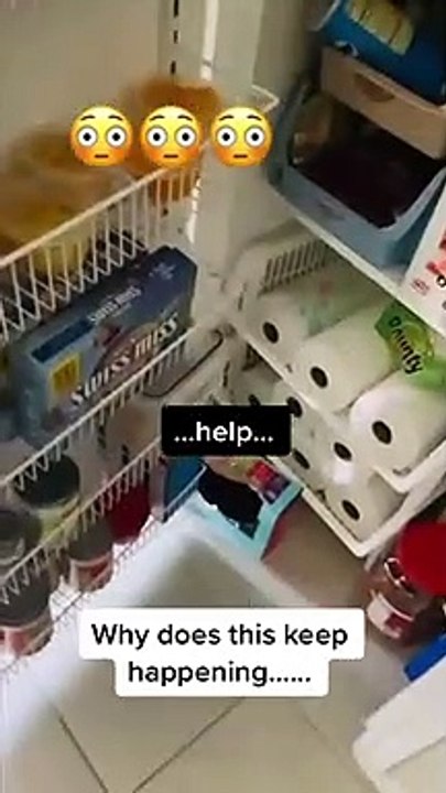 Haunted Paranormal -Ghosts and paranormal on Tik Tok